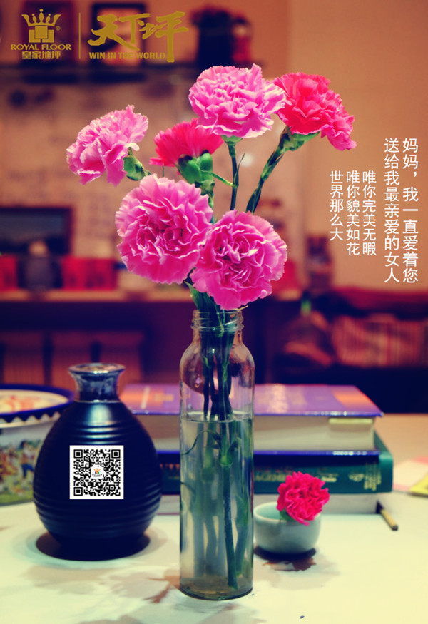 母親節05.14/康乃馨