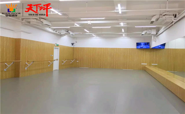 氟硅彈性地坪