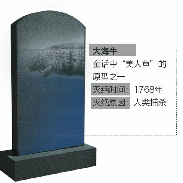 滅絕動物——大海牛