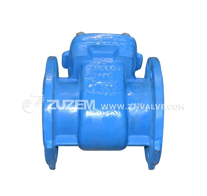 Flange ductile iron table front filter
