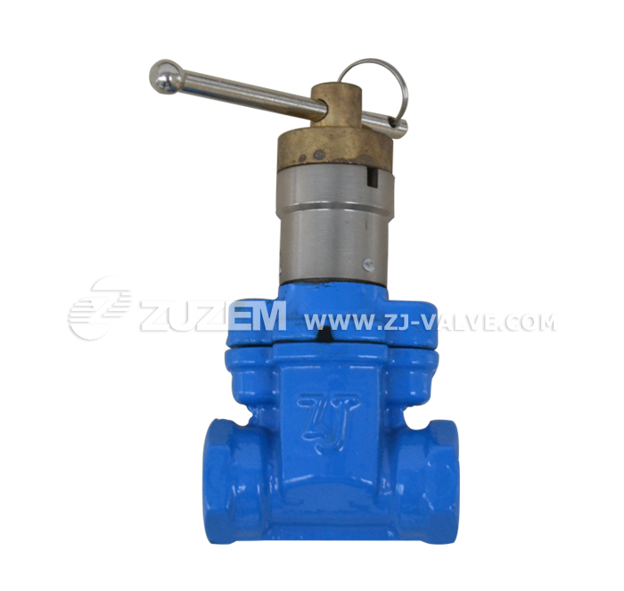 Magnetic lock wire mouth soft seal gate valve