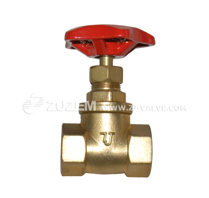 Brass stop check valve