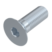 Flat head hexagonal socket screw