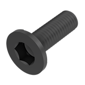 Flat head hexagonal socket screw