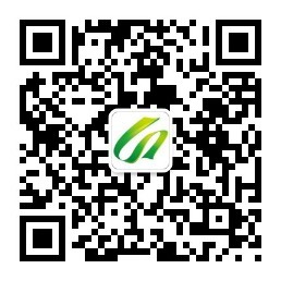 移动端二维码
