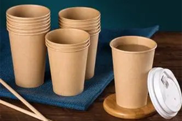 The rise of dynamic environmental awareness in the paper cup industry promotes market change