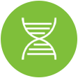 生物技術(shù) 生物技術(shù)