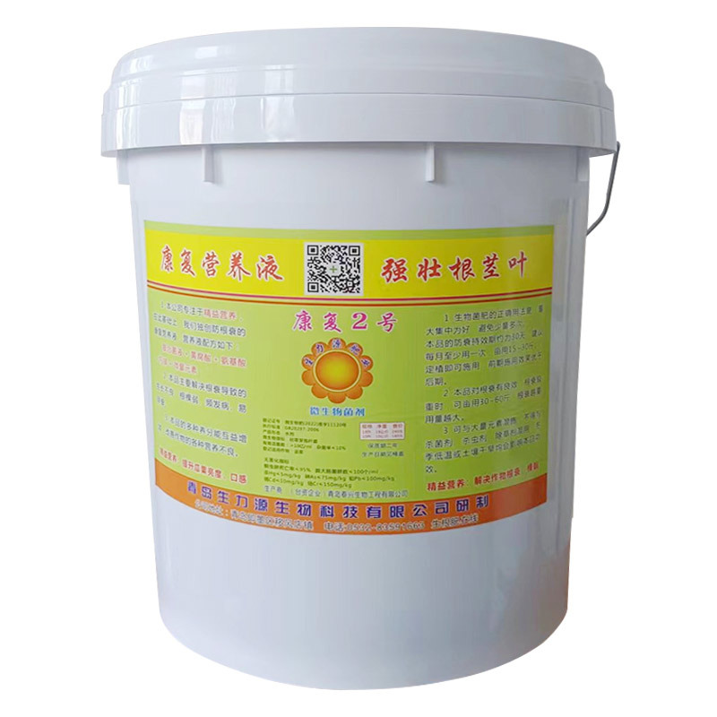 康復(fù)2號(hào)