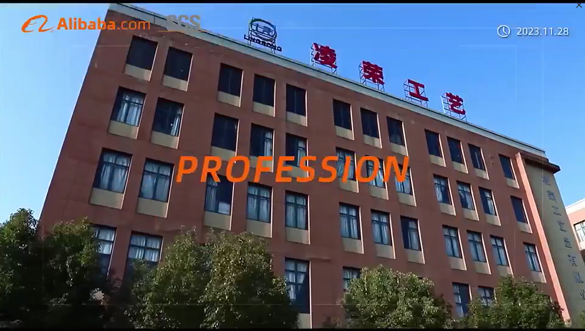 视频标题