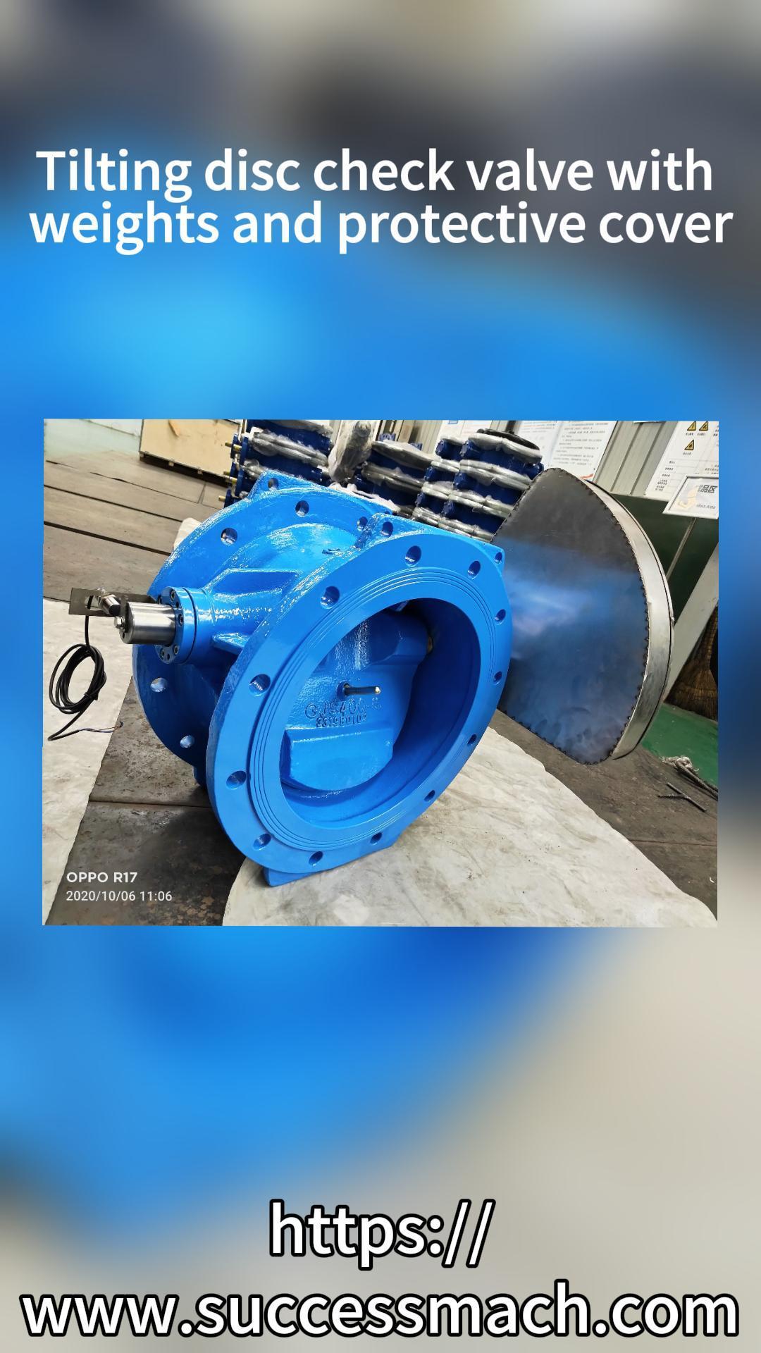 Tilting disc check valve with weights and protective cover Tilting disc check valve with weights and protective cover