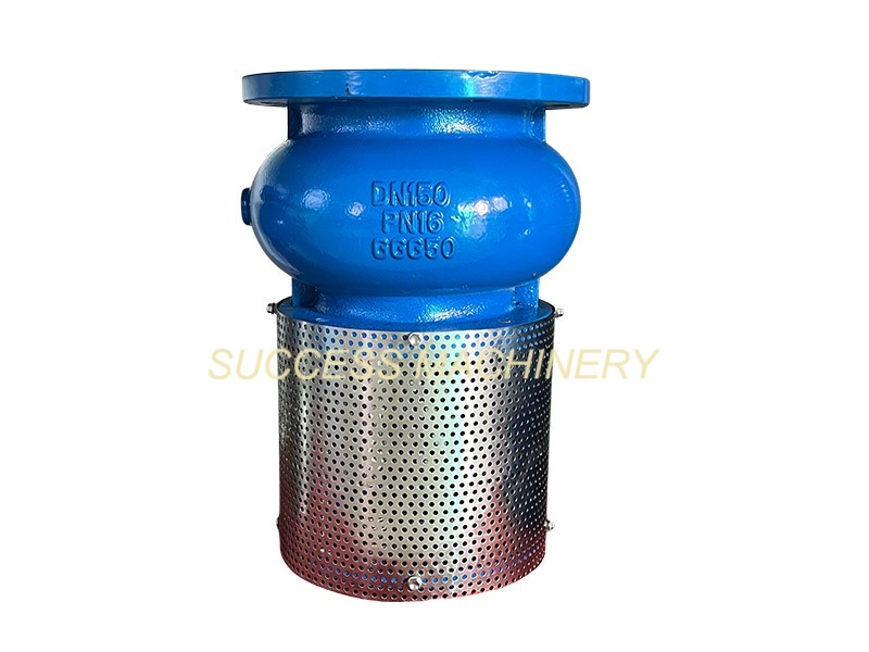 Foot Valve  Bottom Valve   H42X Flanged bottom valve