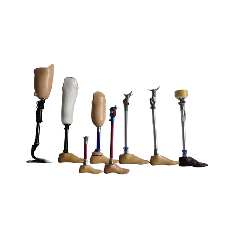 أجزاء زرع الساق الاصطناعية الطبية ، الأطراف الاصطناعية ، الساق