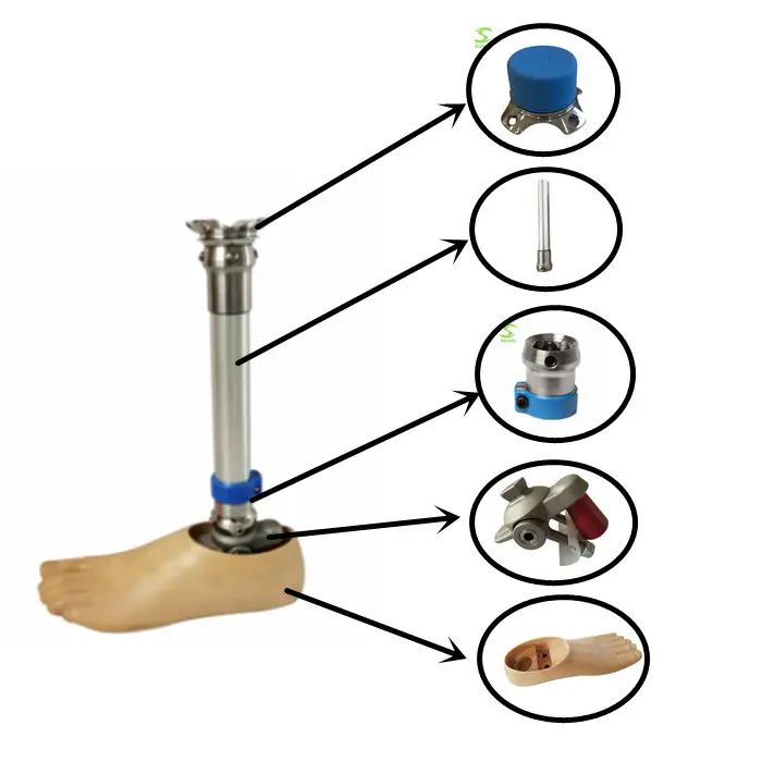 Understanding Prosthetic Leg Parts: A Comprehensive Guide