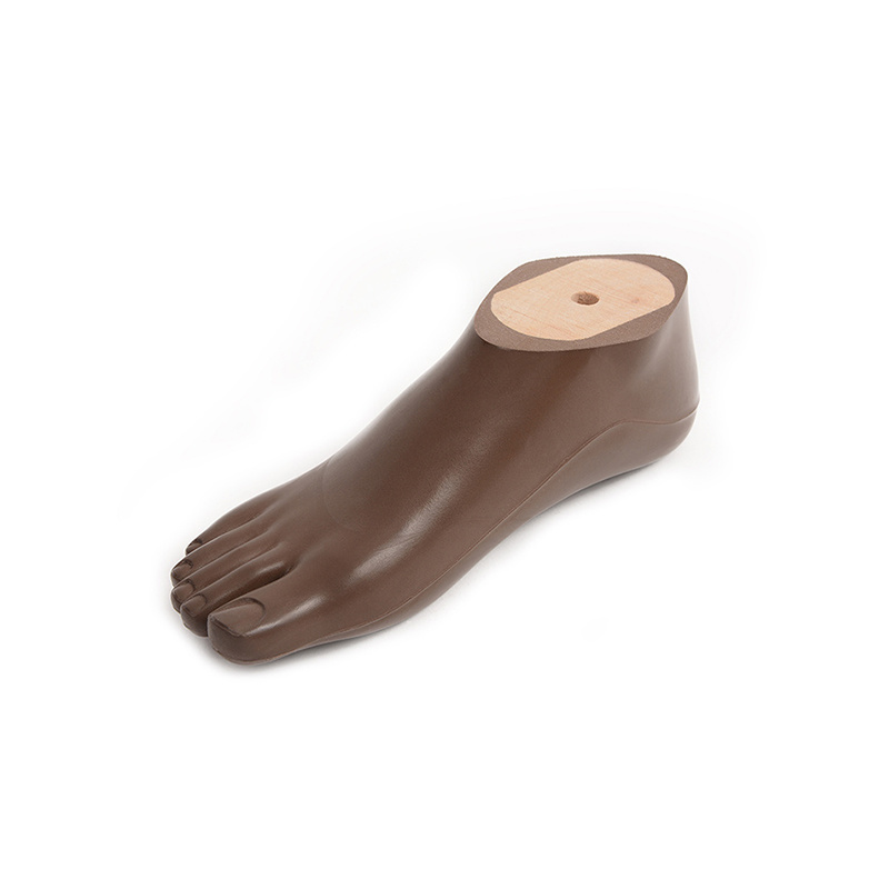 brown Sach prosthesis footAS10-D