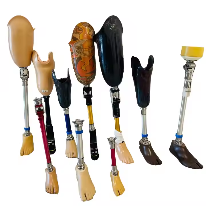 Class I Orthotics AK BK Model All Kinds Prosthetic Leg Artificial Limbs Orthopedic