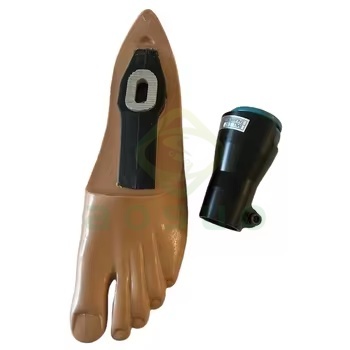 High Quality Prosthetic Foot by Medical Manufacturer Multi-Axis Artificial Limbs for Rehabilitation Equipment