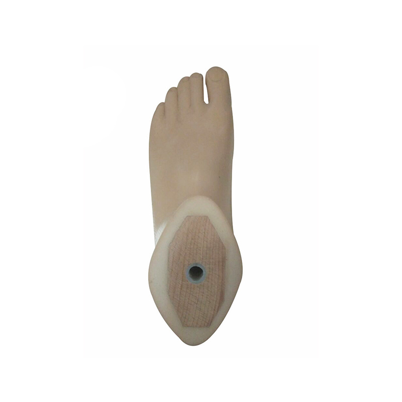 Polyurethane prosthetics limb leg S.A.C.H foot with toes:AS10