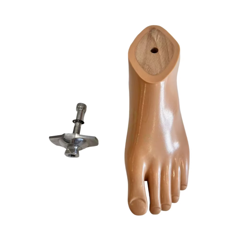 Sach  Foot Rehabilitation Equipment  Orthotics for Physical Therapy Clinic Use