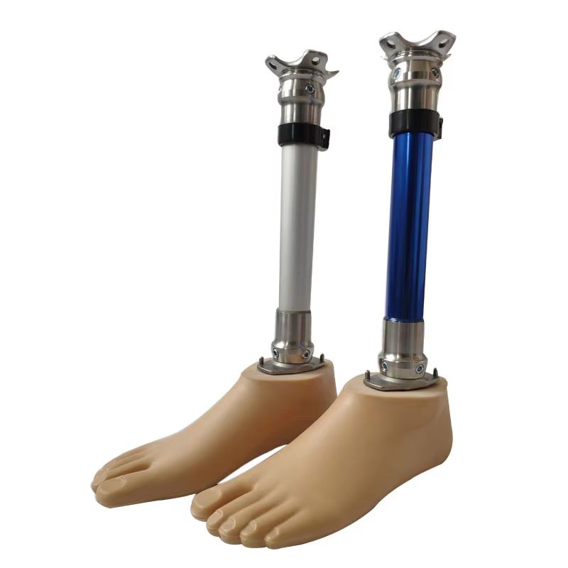 Understanding the Role of Medical Prosthetic Implants in Modern Healthcare