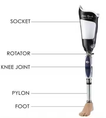 Медицинский имплантат Протезы ног искусственные конечности Производитель