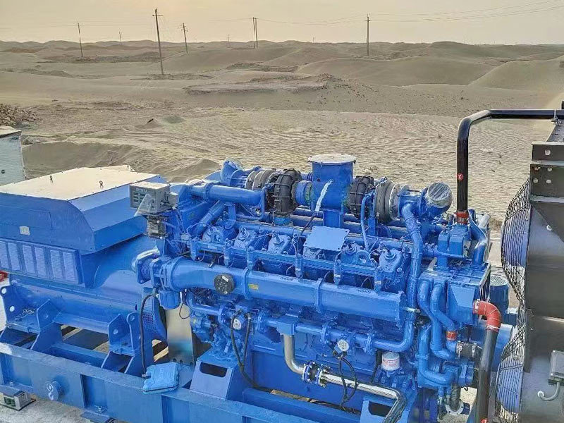 Diesel Generator Set For Inner Mongolia Afforestation Project Diesel Generator Set For Inner Mongolia Afforestation Project