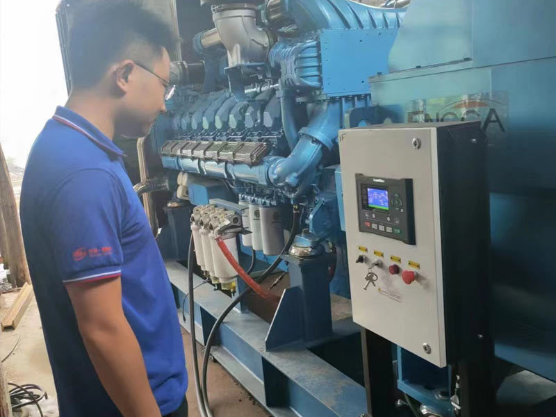 Uganda Livestock Farm Diesel Generator Set Project Uganda Livestock Farm Diesel Generator Set Project