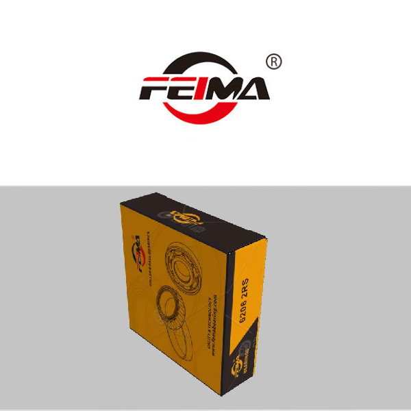 FEMA FEMA