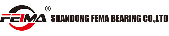 FEIMA