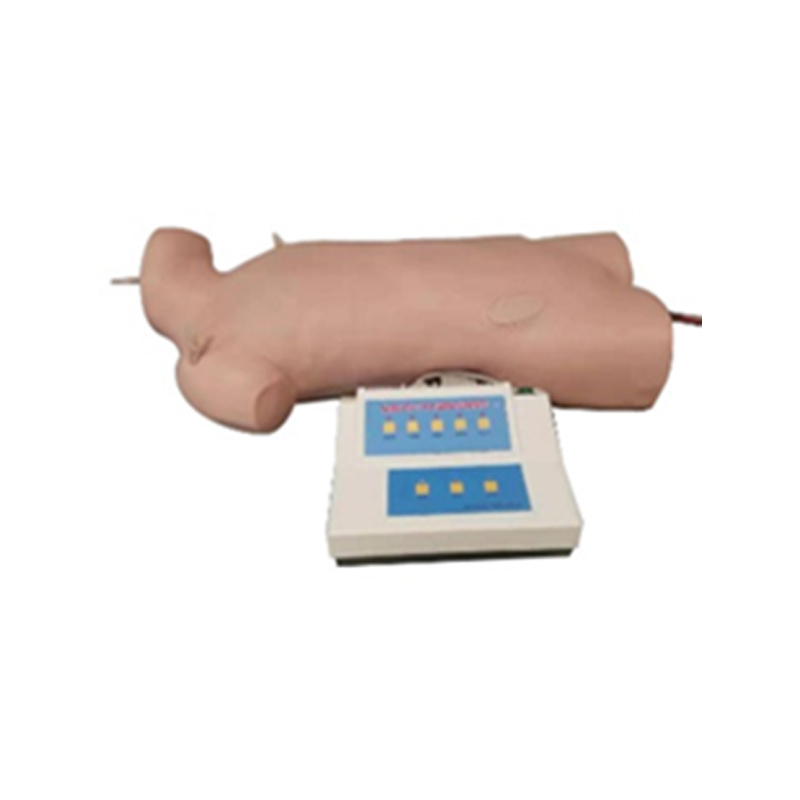 Central Venous Puncture Model under Image Guide