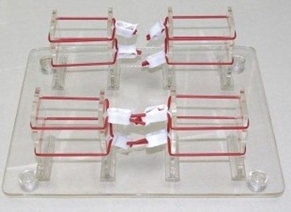 Shallow Knotting Training Model
