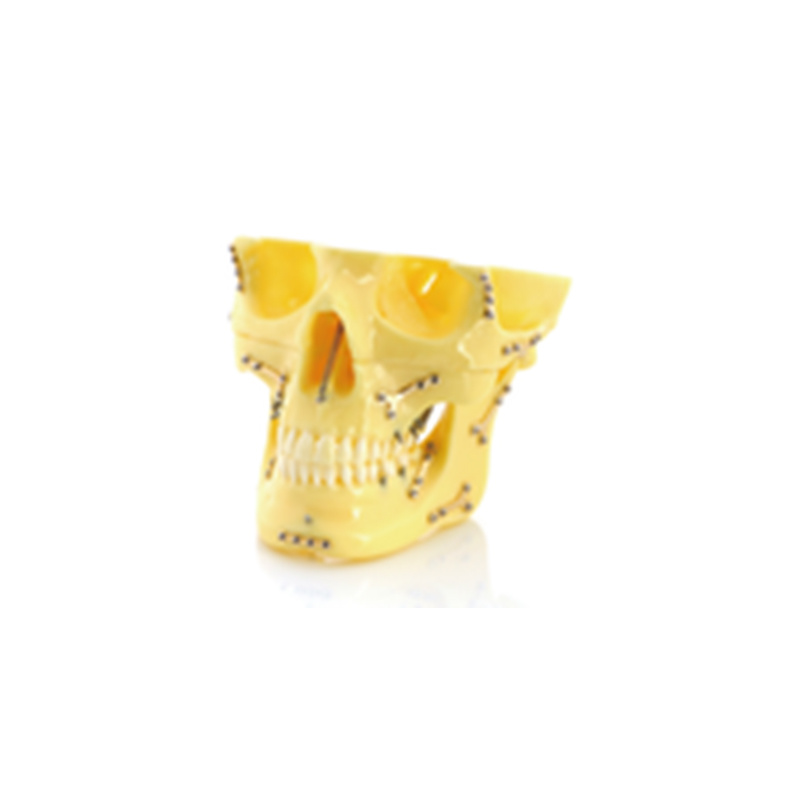 Mini Skull