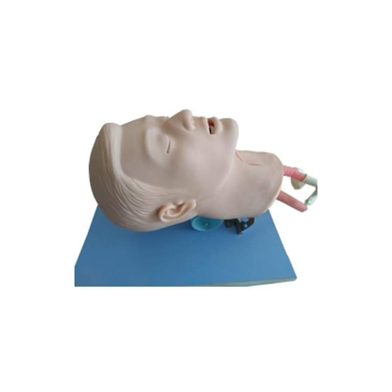 Advance Thyrocricocentesis Tracheostomy simulator