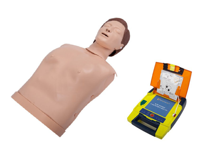 Half Body CPR Training Combination