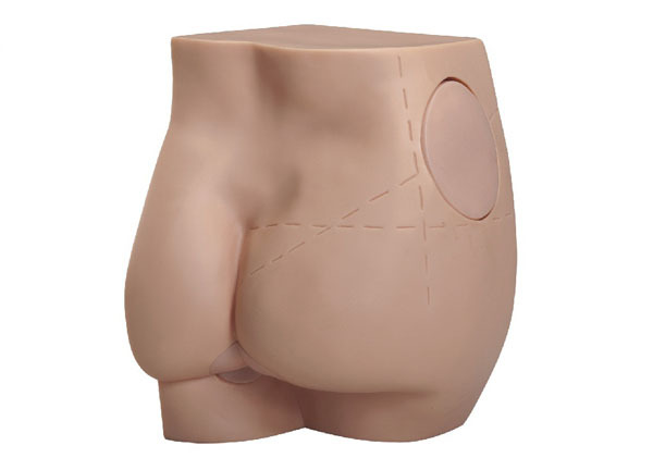 Buttocks Intramuscular Injection Model