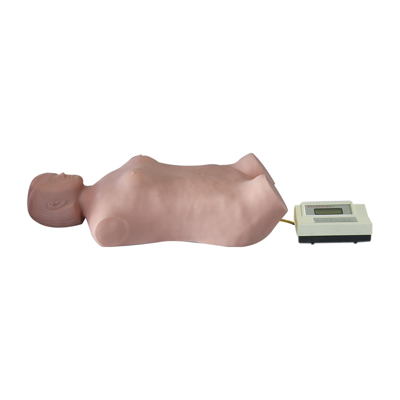 Fully Automatic Abdominal Palpation and Auscultation Simulator