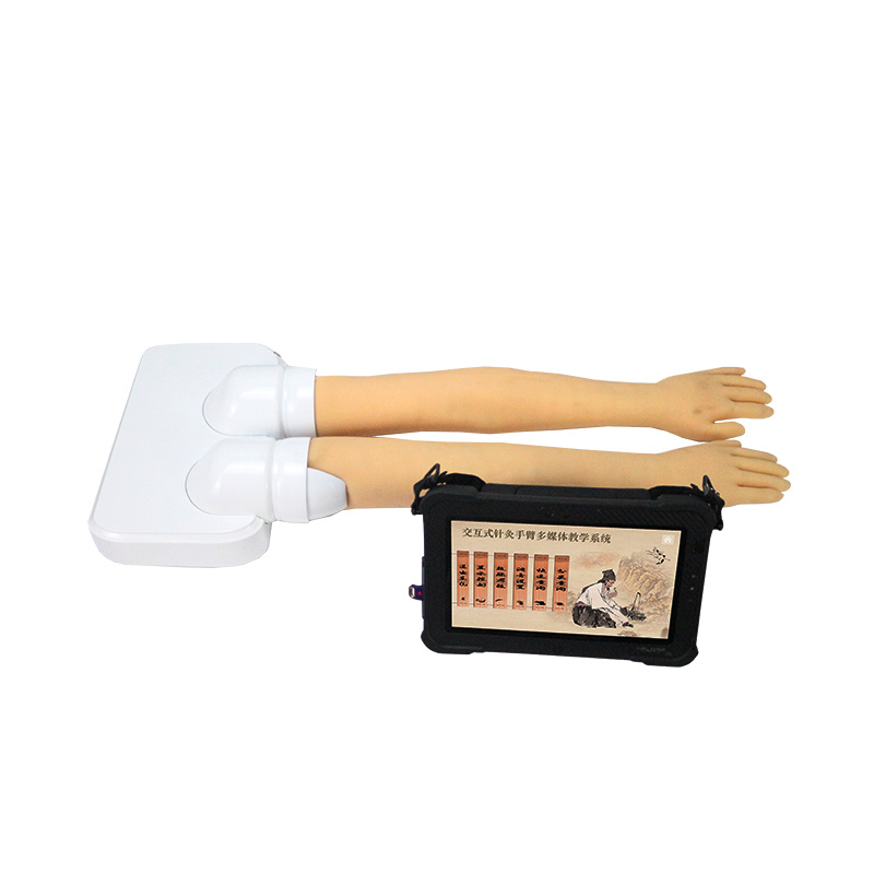 YA/Z071 Interactive acupuncture arm multimedia teaching system