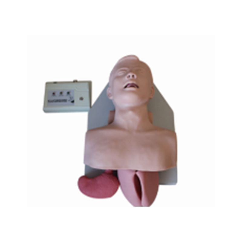 Electronic Trachea Intubation Training Model