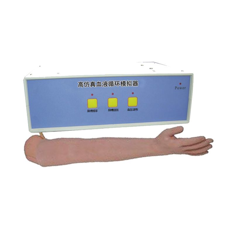 Adult Arterial Puncture Training Model