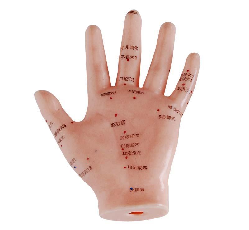 YA/Z023-1 Hand Acupuncture Model 13CM