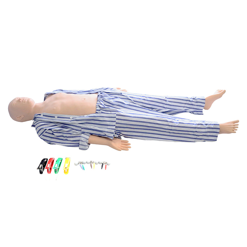 Multiple Electrocardiographic Manikin