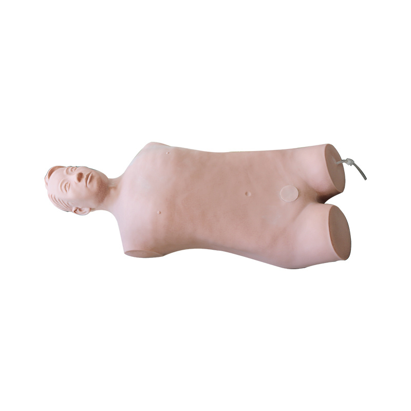 Bladder Puncture Training  Model