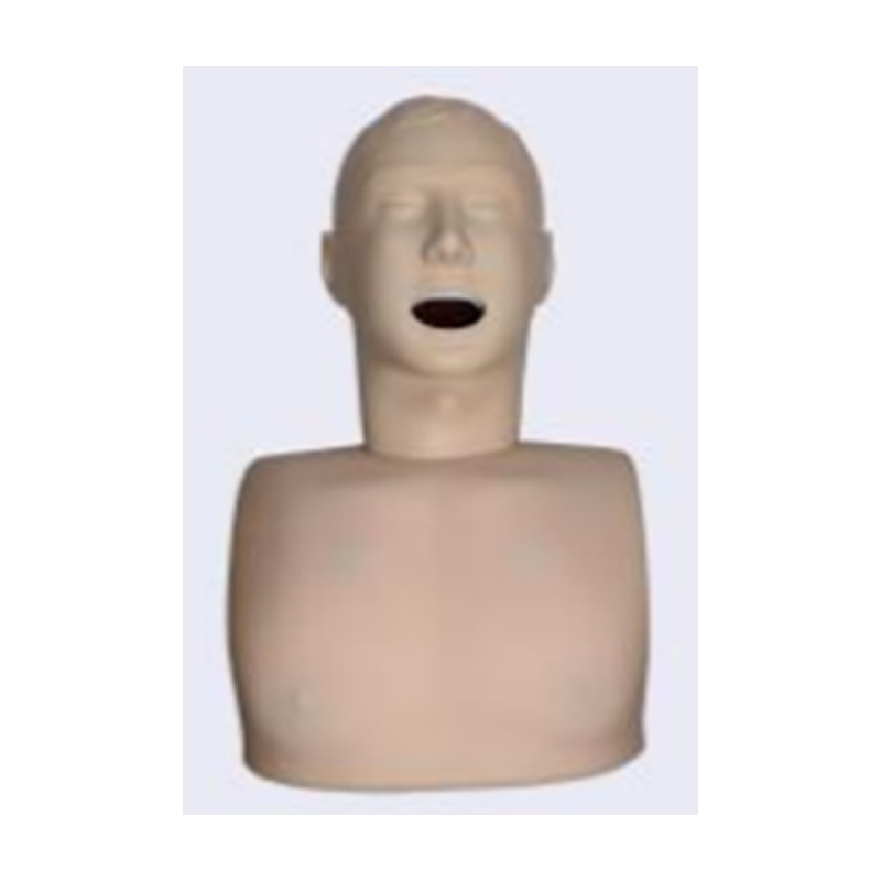 Adult Laryngeal Mask Airway Model