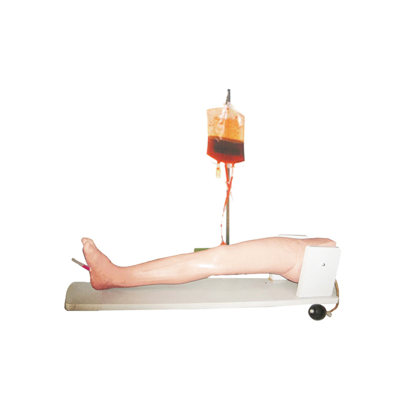 Bone and Femoral Vein  Puncture Model