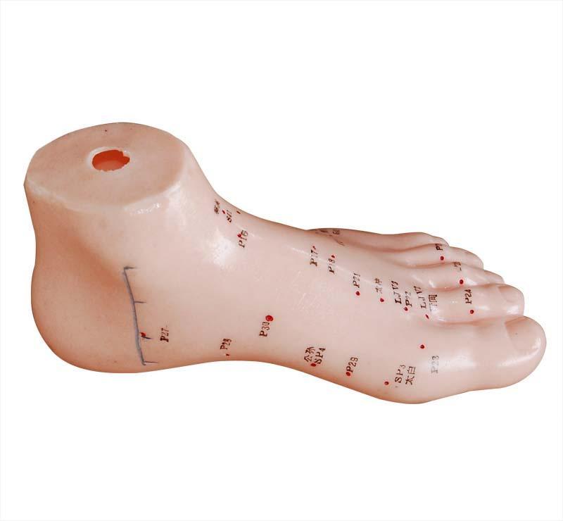 YA/Z024-1 Foot Acupuncture Model 13CM