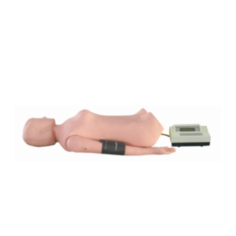 Fully Automatic Abdominal Palpation and Auscultation Simulator (with Blood Pressure Arm)