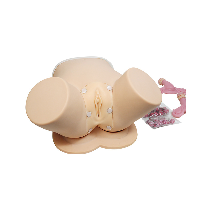Hysteroscopic Surgery Training Model