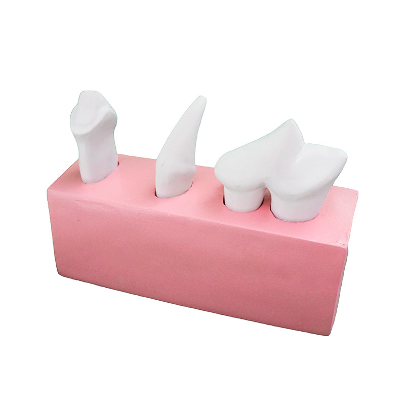 YA/B026C-2 Enlarged Dog Teeth Set