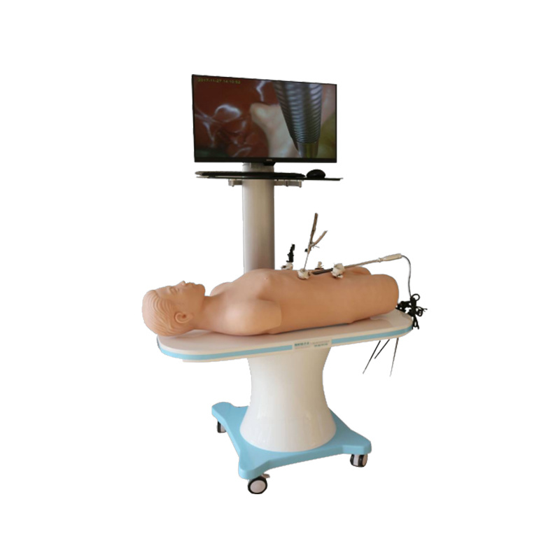 Laparoscopic Surgery Skill Training Manikin