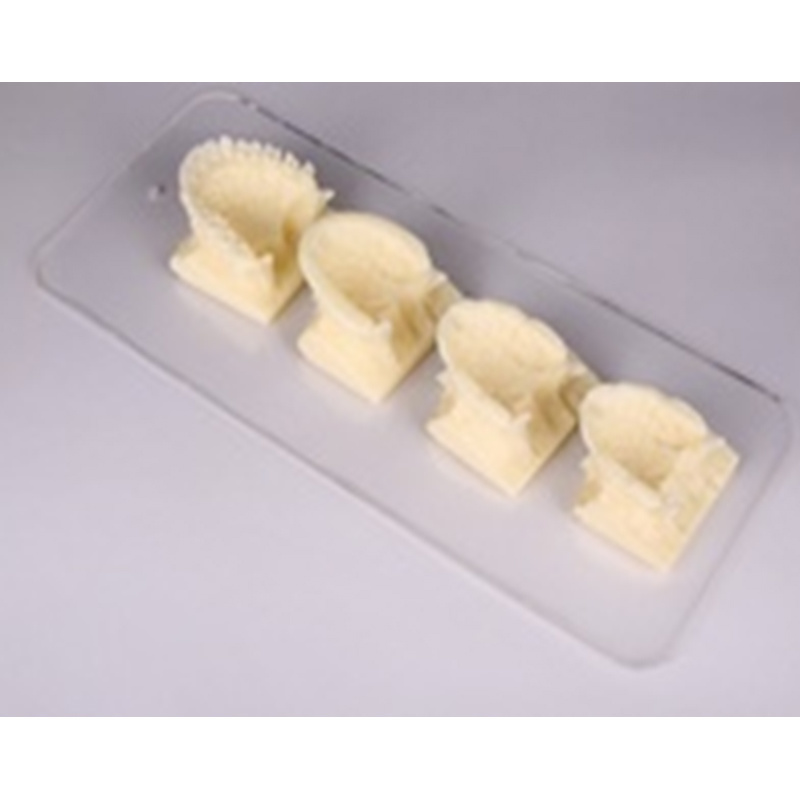 Maxillary Growth Model