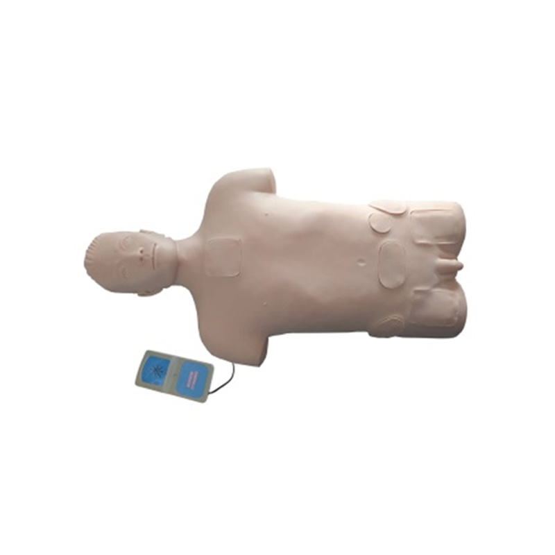 Bone Marrow Puncture Training Model with Electronic Monitor